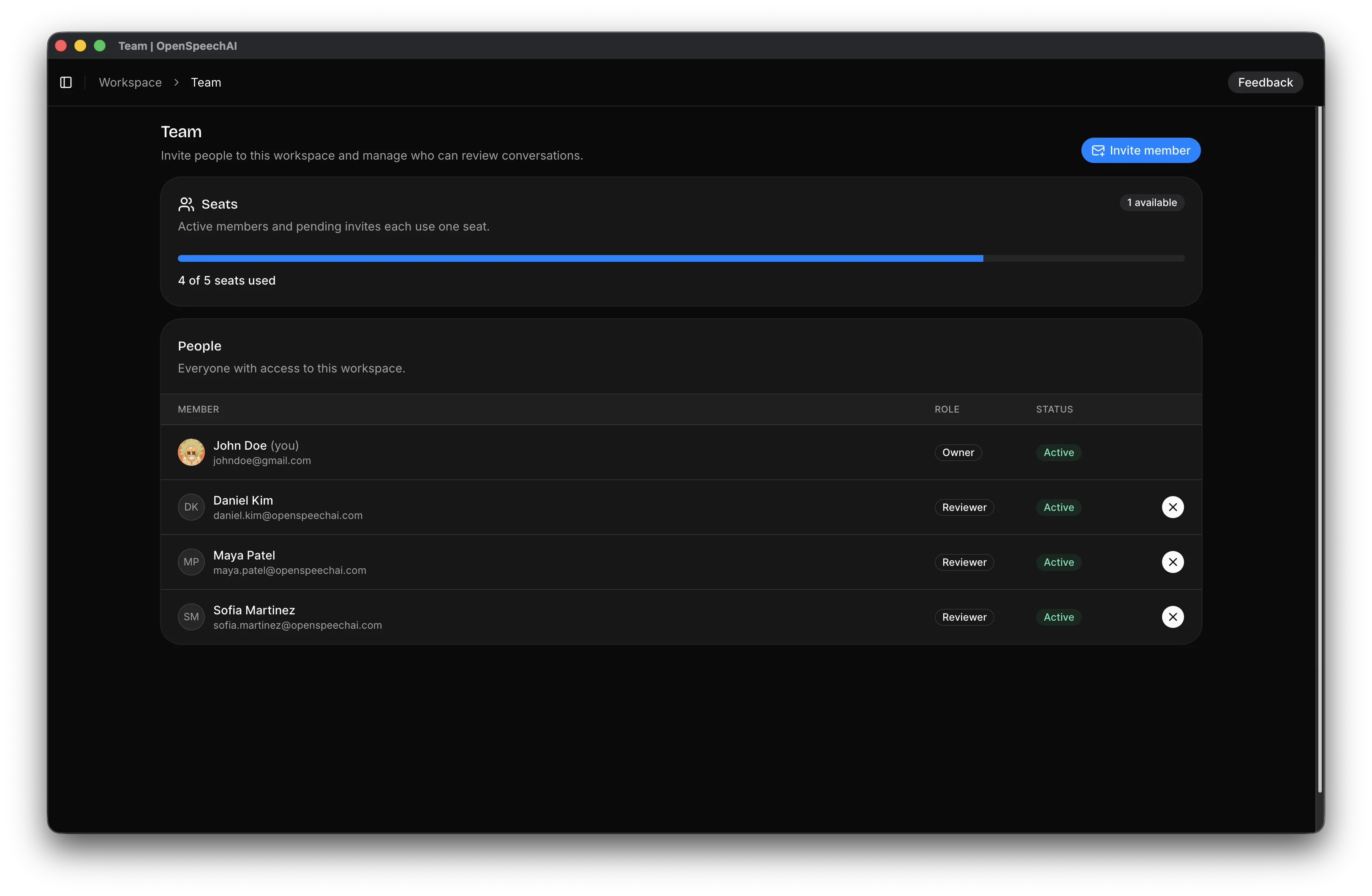 Team page showing the seat ledger, active members, and pending invitations